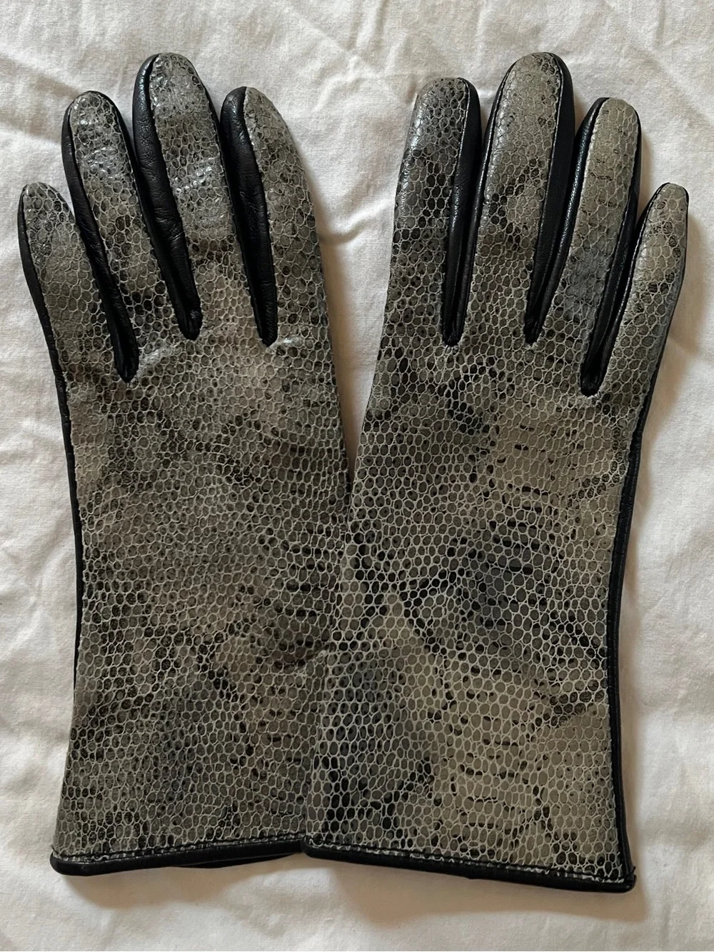 Black and Gray Leather Gloves with Textured Snakeskin front